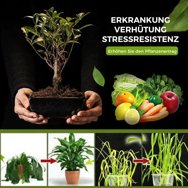 🎊Bodenaktivierung Lösung🎊