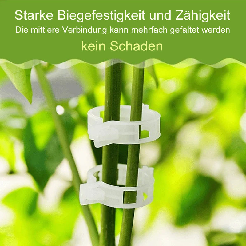 🪴Praktischer Pflanzenstützclip