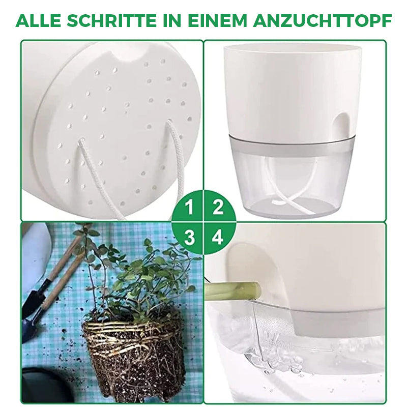 Selbstbewässernder Blumentopf