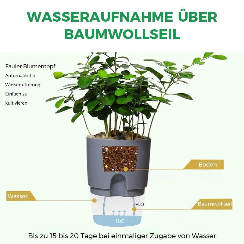 Selbstbewässernder Blumentopf